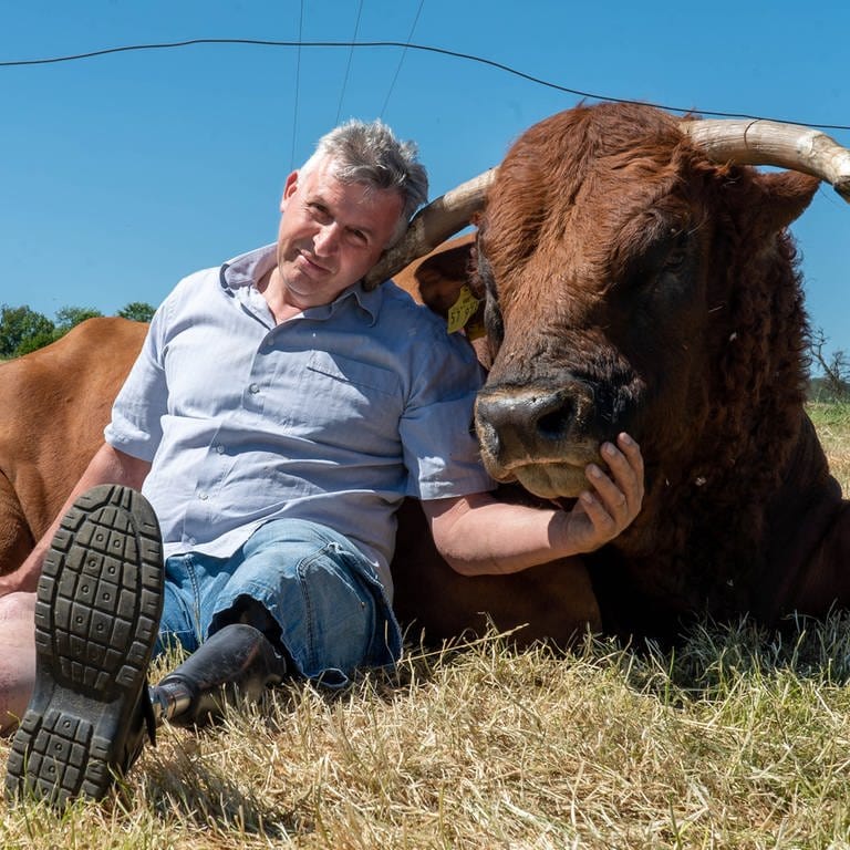 Mann mit Beinprothese einen Bullen streichelnd auf dem Feld sitzend.