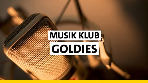 SWR1 Musik Klub Goldies: Einfach kultige Oldie-Hits (Foto: Mikrofon)