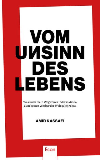 Buchcover: Vom Unsinn des Lebens von Amir Kassaei