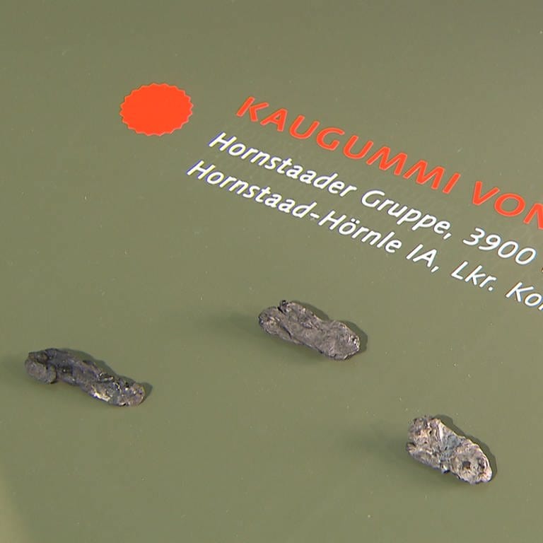 Steinzeit-Kaugummis vom Bodensee