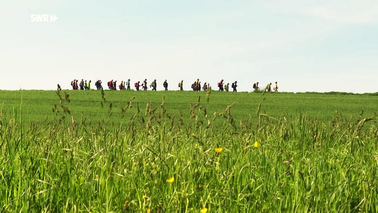 Wanderführer aus Baden-Württemberg treffen sich auf der Höri