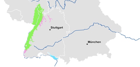 Landkarte zeigt Beginn der Apfelblüte im Oberrheintal vom 1. April 2020