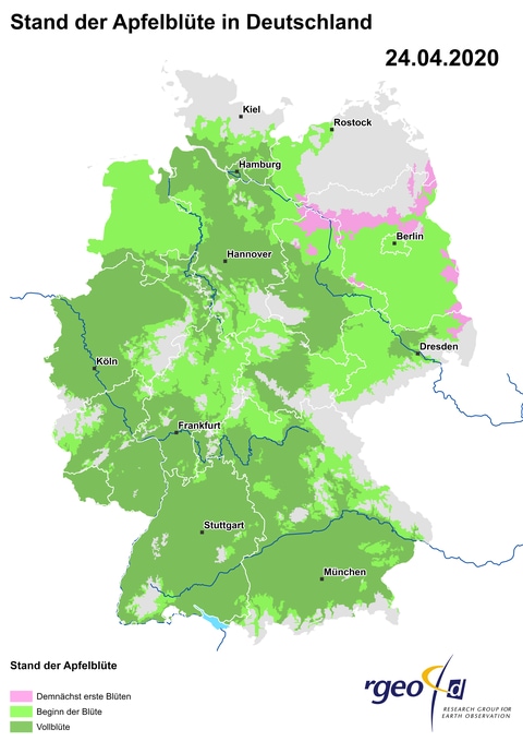 Landkarte der Ausbreitung der Apfelblüte in Deutschland am 24. April 2020