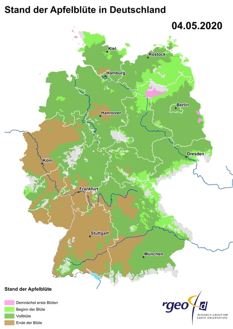 Landkarte der Ausbreitung der Apfelblüte in Deutschland am 4. Mai 2020