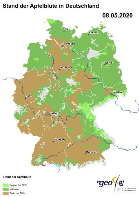 Landkarte der Ausbreitung der Apfelblüte in Deutschland am 8. Mai 2020