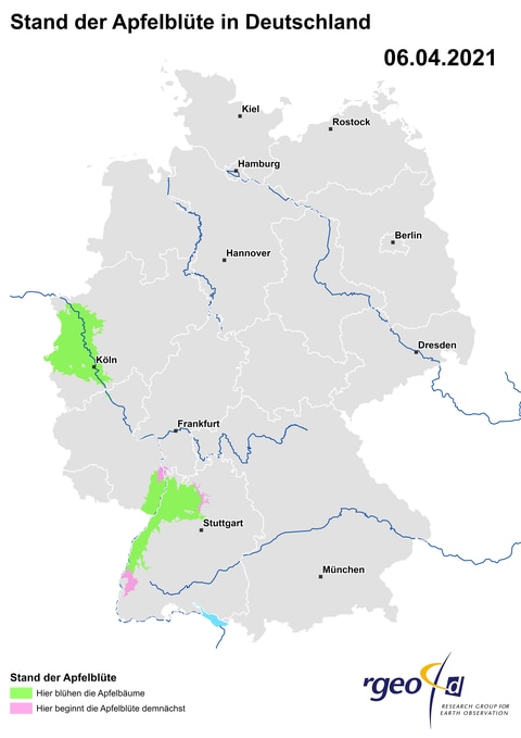 Landkarte zur Ausbreitung der Apfelblüte in Deutschland am 6. April 2021. Als blühend markiert sind Oberrheintal und Niederrhein.
