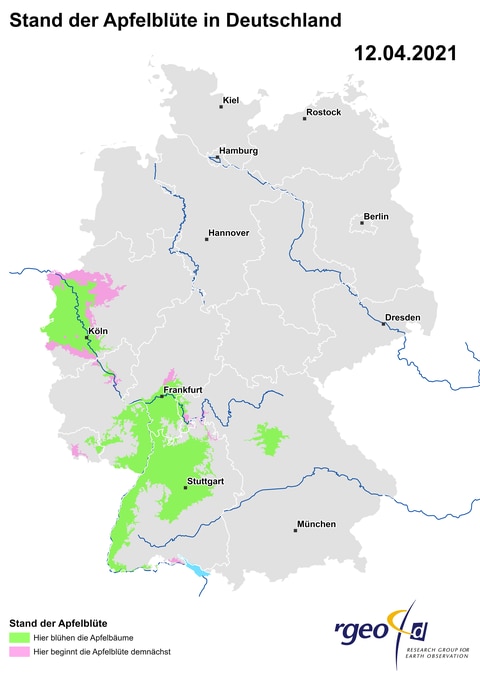 Landkarte der Ausbreitung der Apfelblüte in Deutschland am 12. April 2021