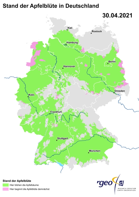 Landkarte der Ausbreitung der Apfelblüte in Deutschland am 30. April 2021