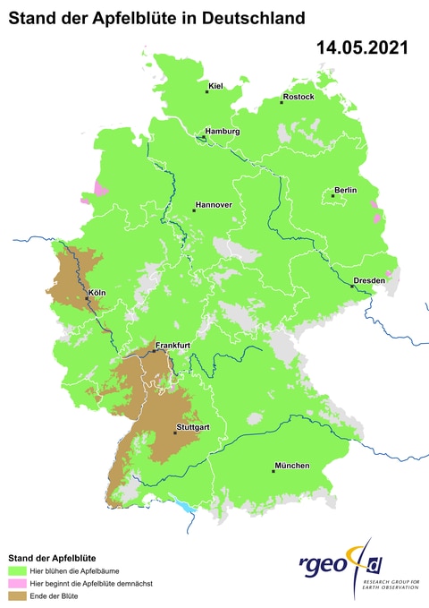 Landkarte der Ausbreitung der Apfelblüte in Deutschland am 14. Mai 2021