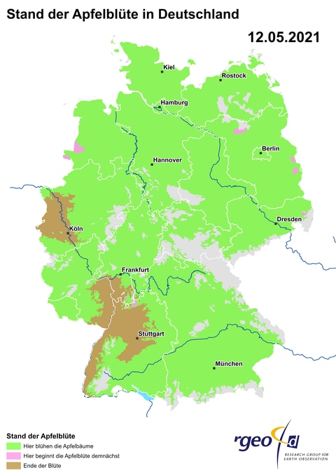 Landkarte der Ausbreitung der Apfelblüte in Deutschland am 12. Mai 2021