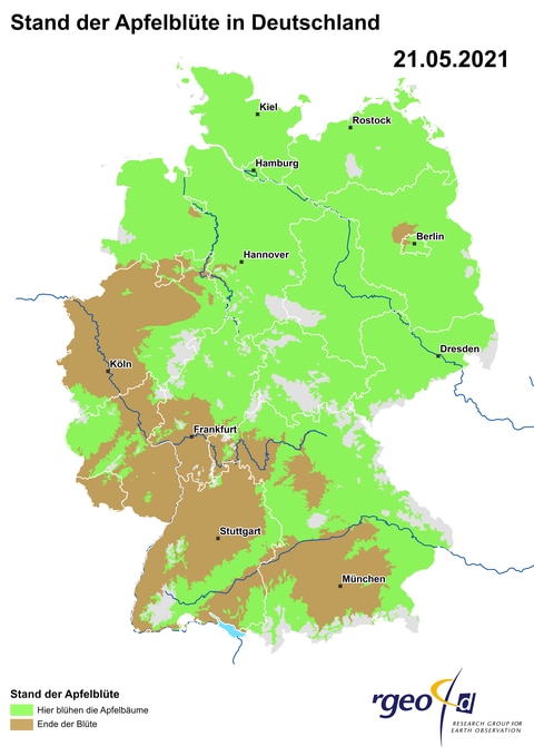Landkarte der Ausbreitung der Apfelblüte in Deutschland am 21. Mai 2021