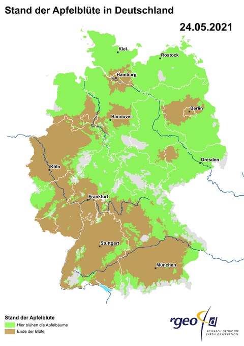 Landkarte der Ausbreitung der Apfelblüte in Deutschland am 24. Mai 2021