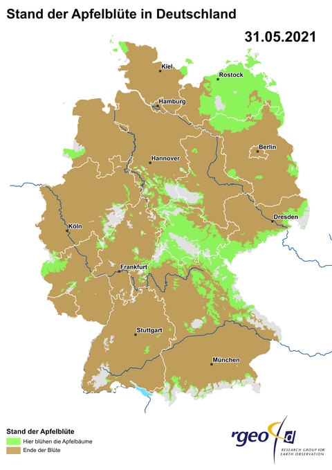 Landkarte der Ausbreitung der Apfelblüte in Deutschland am 1. Juni 2021