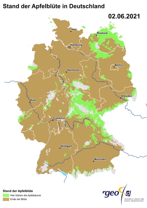 Landkarte der Ausbreitung der Apfelblüte in Deutschland am 2. Juni 2021