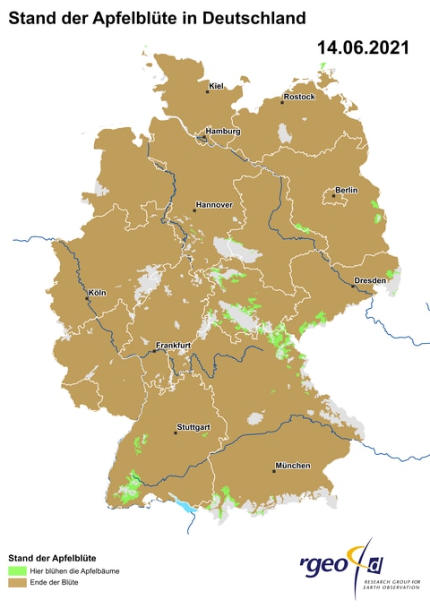 Landkarte der Ausbreitung der Apfelblüte in Deutschland am 14. Juni 2021
