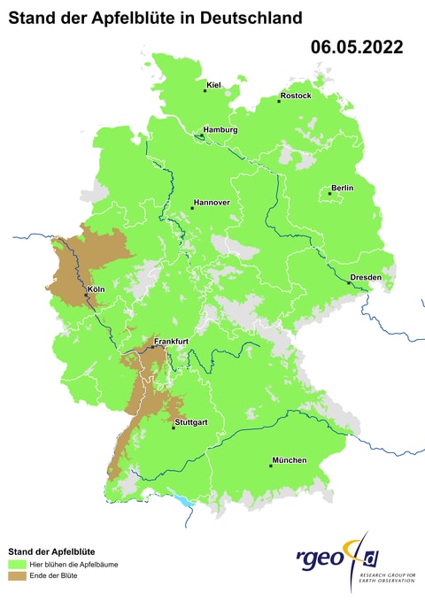 Landkarte der Ausbreitung der Apfelblüte in Deutschland am 6. Mai 2022.