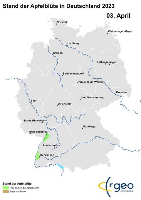3. April: Apfelblütenland hat nun auch eine Nordinsel bei Karlsruhe.
